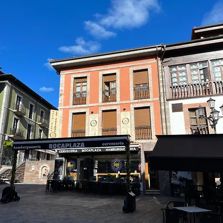 公寓 Arturoyale 2º F Laplaza